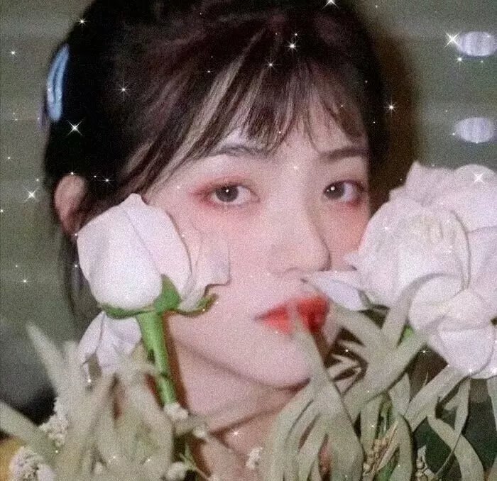 荒岭录影